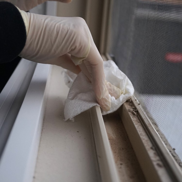 Cleaning services in Los Angeles, CA Cleaning services in Los Angeles, CA